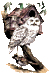 harfang