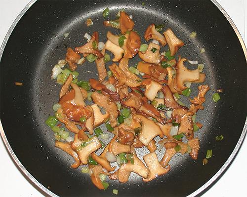 Chanterelle commune